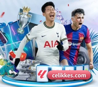 五大服务分区,信息按项目分类