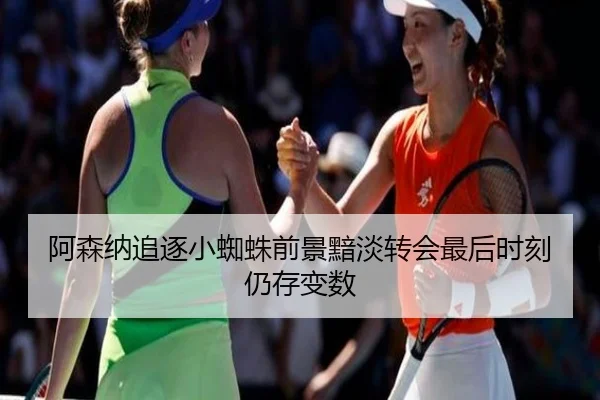 阿森纳追逐小蜘蛛前景黯淡转会最后时刻仍存变数